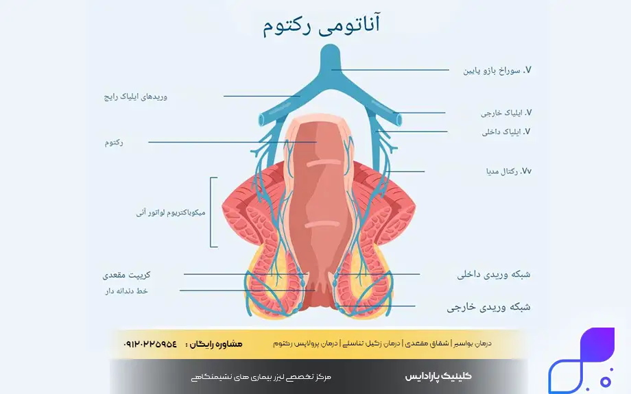 گشادی مقعدی چیست